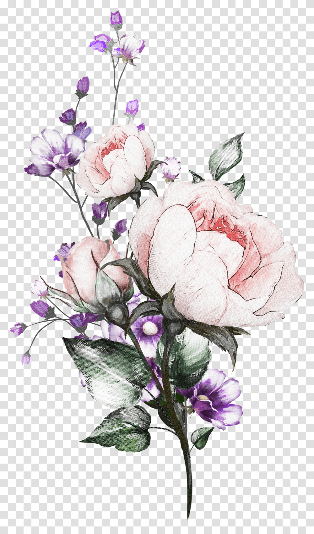 Aesthetic Flower Drawing Transparent Png