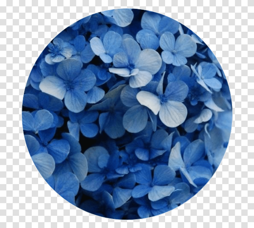 Aesthetic Flower Flower Blue, Plant, Geranium, Blossom, Rug Transparent Png
