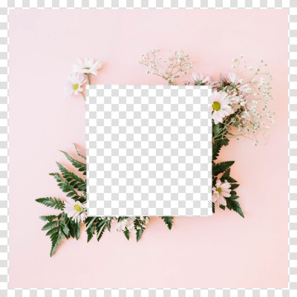 Aesthetic Flower, Plant, Blossom, Tree, Bush Transparent Png