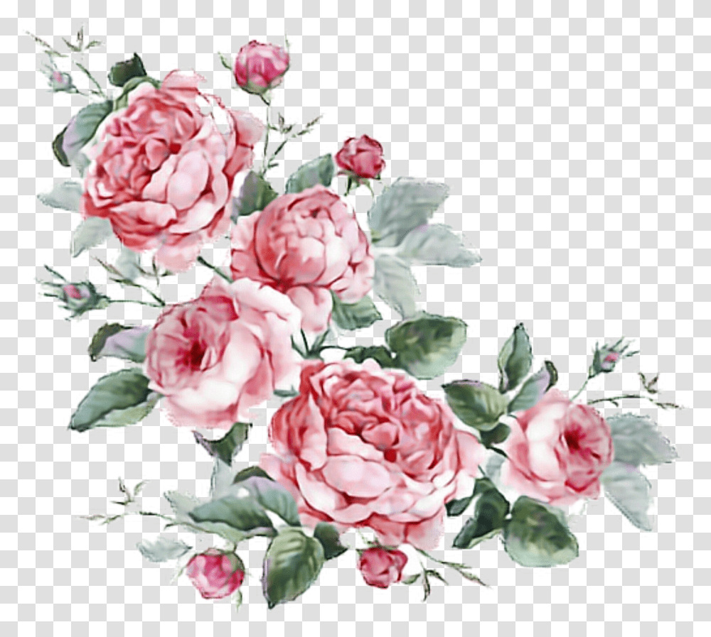 Aesthetic Flower Transparent Png