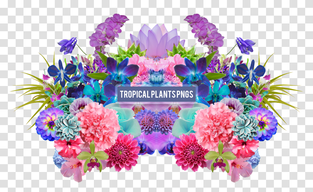 Aesthetic Flower Tropical Flowers Pack Transparent Png