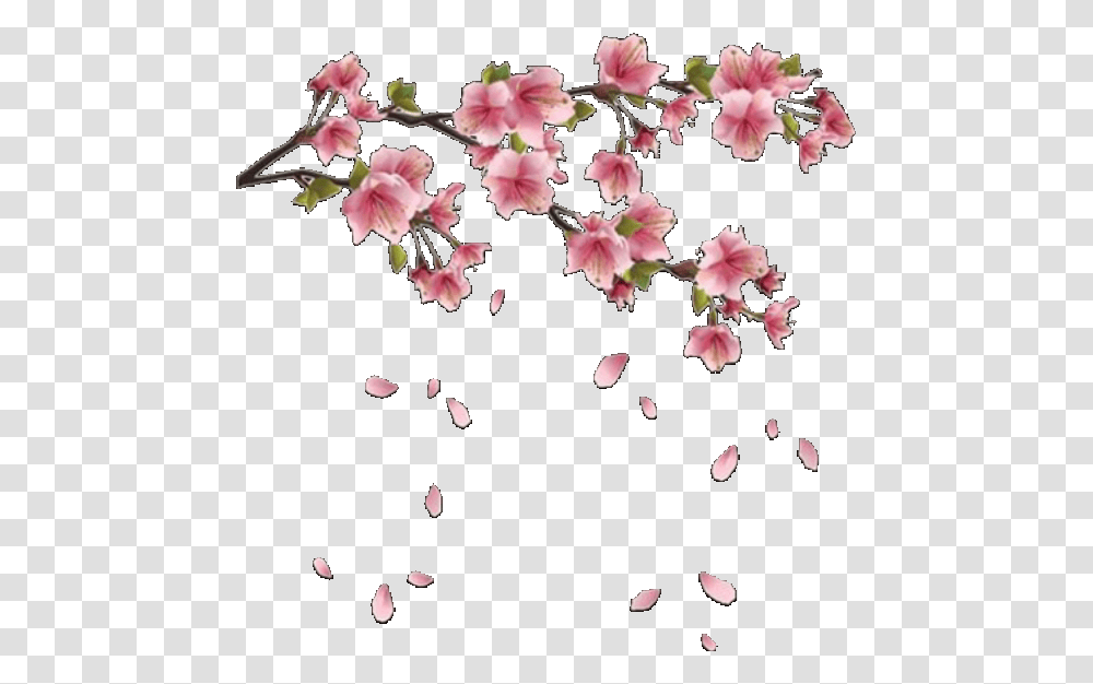 Aesthetic Flowers Flower Pink Pinkaesthetic Overlay Cherry Blossom Hd, Plant, Petal, Floral Design, Pattern Transparent Png