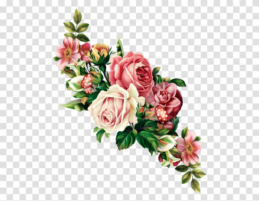 Aesthetic Flowers, Plant, Floral Design Transparent Png