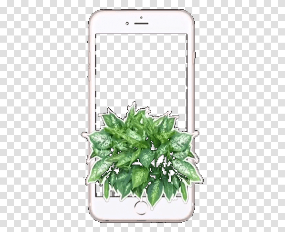 Aesthetic Overlays Indoor Plant Plan, Mobile Phone, Leaf, Vegetable, Food Transparent Png