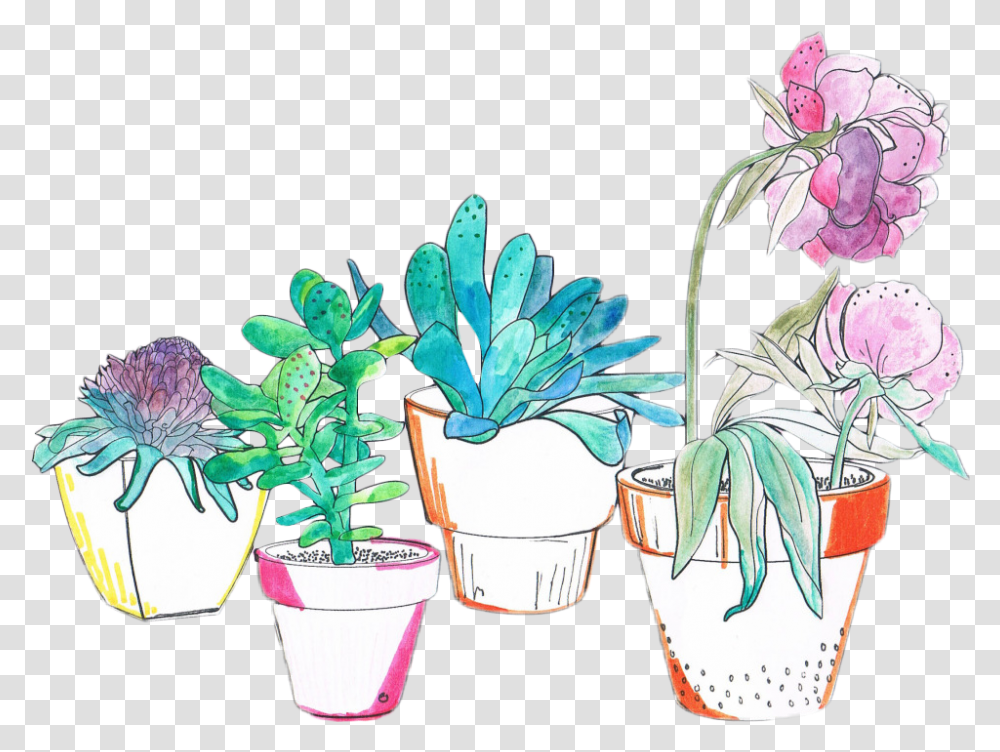 Aesthetic Plant Clip Art, Flower, Blossom, Pot Transparent Png