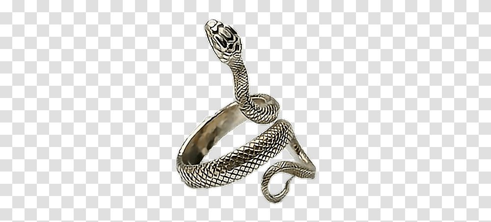 Aesthetic Polyvore Jewelry Jewellery Ring Snake Ring Aesthetic, Person, Human, Accessories Transparent Png