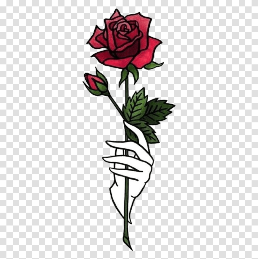 Aesthetic Rose, Plant, Flower, Blossom, Bud Transparent Png