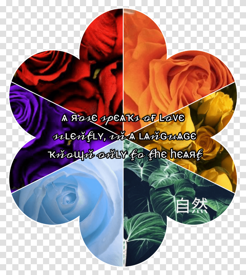 Aesthetic Rose Red Orange Yellow Green Blue Garden Roses, Collage, Poster, Advertisement Transparent Png