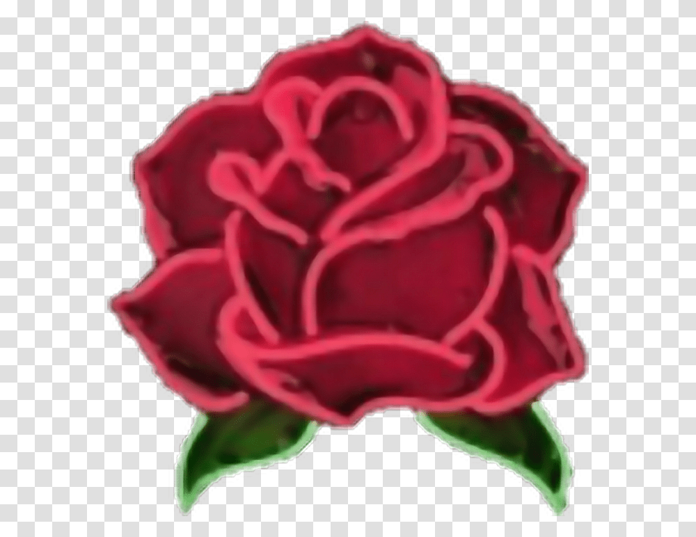 Aesthetic Rose Red Rose Aesthetic, Flower, Plant, Blossom, Petal Transparent Png