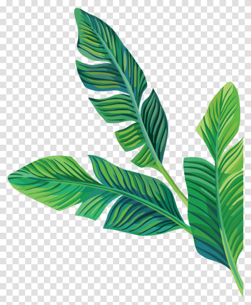 Aesthetic Stickers, Leaf, Plant, Bird, Animal Transparent Png