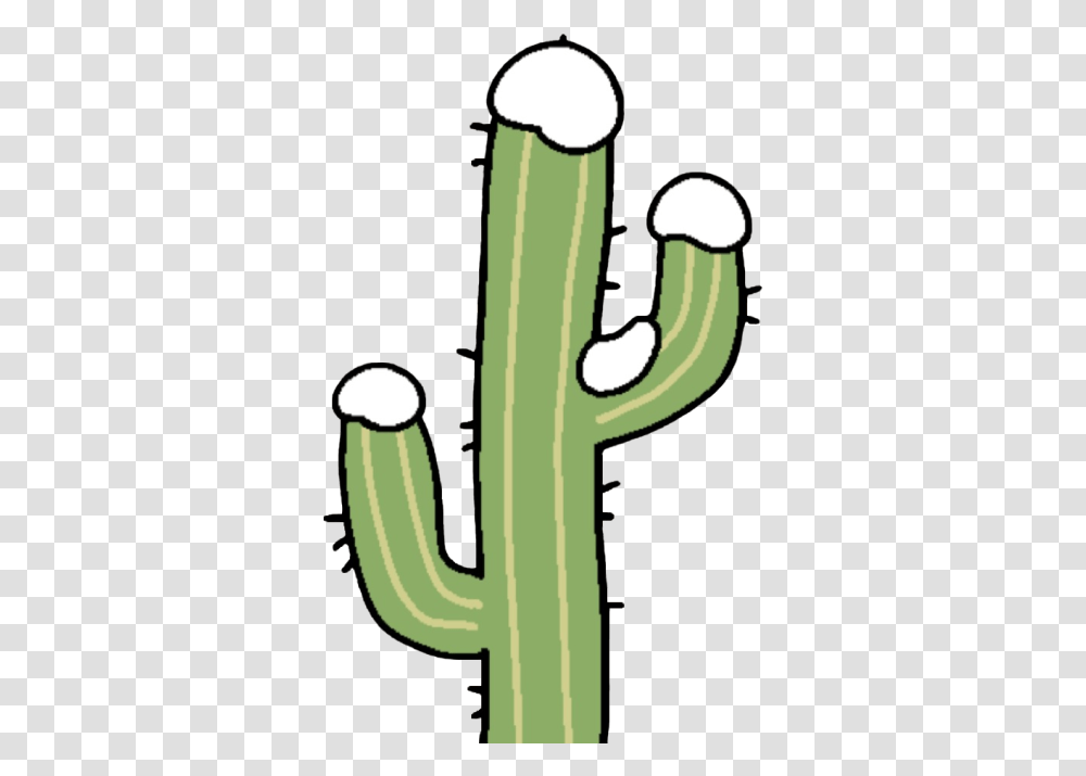 Aesthetic Stuff With Background, Plant, Cactus Transparent Png