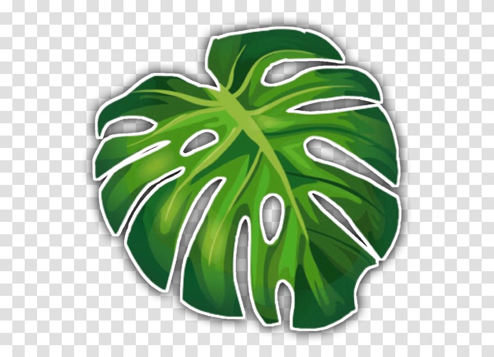 Aesthetic Tropical Sticker Freetouse Leaf Green Aesthetic Palm Leaves, Plant, Food, Flower, Blossom Transparent Png