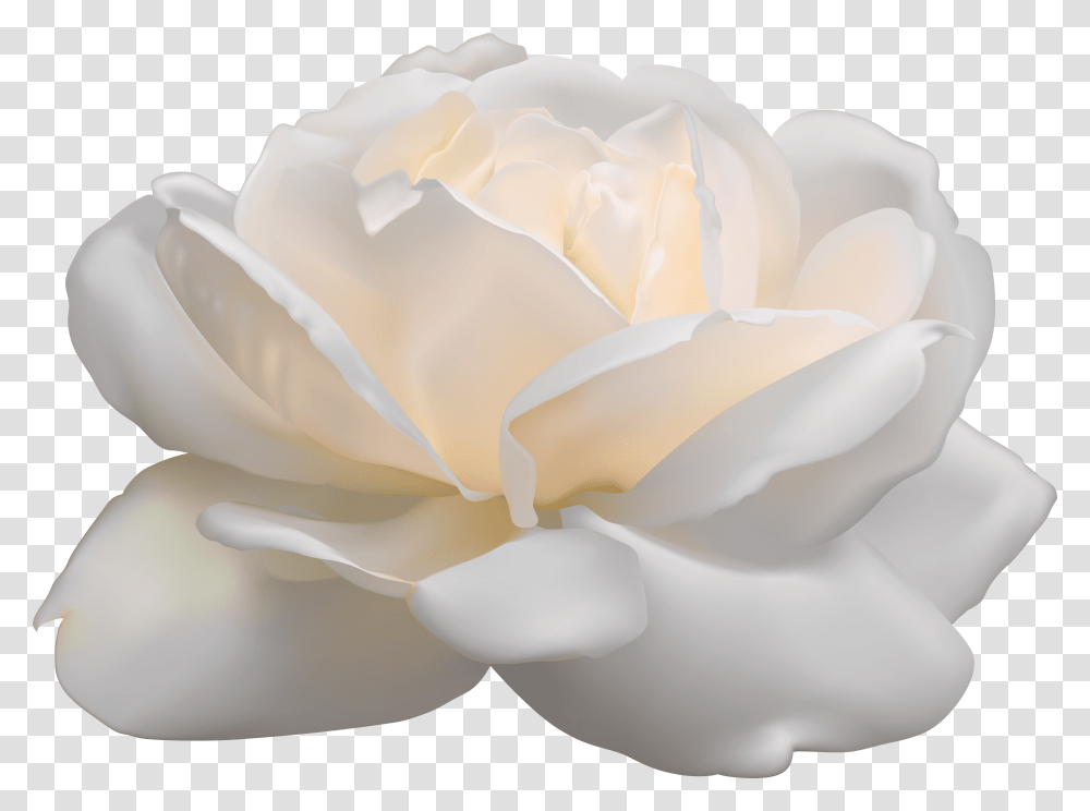 Aesthetic White Rose High Quality Image Arts Flower Clipart White Background Free Transparent Png