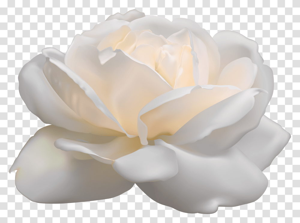 Aesthetic White Rose High Quality Image Arts Flower Clipart White Background Free Transparent Png Pngset Com