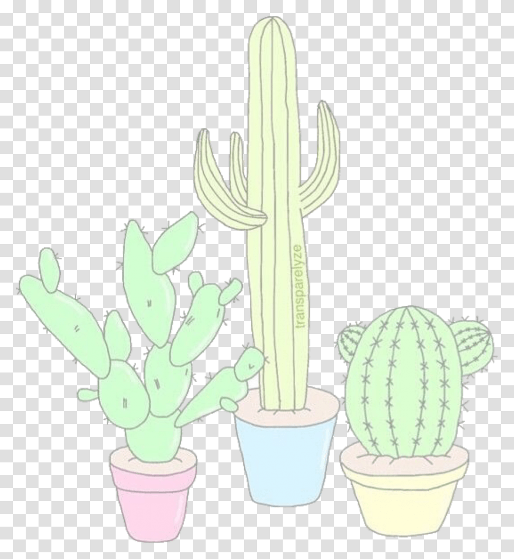 Aesthetics Amp Overlays Cacti Tumblr Drawings Cute Hedgehog Cactus, Plant Transparent Png