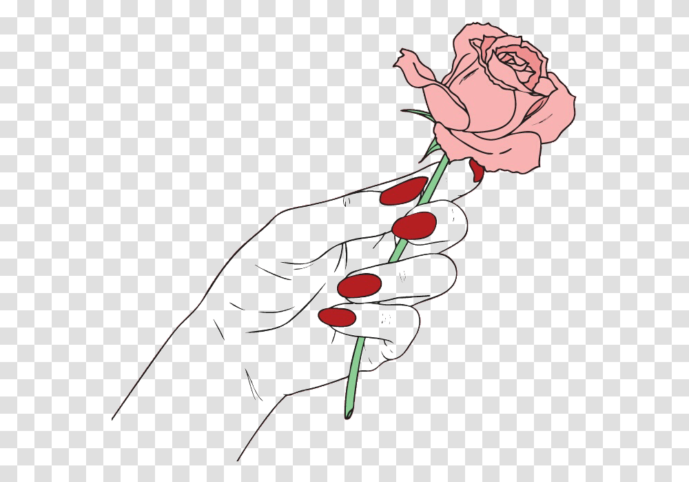 Aesthetics Image Pink Pastel Rose Hand Holding A Rose, Bow, Plant, Flower, Finger Transparent Png