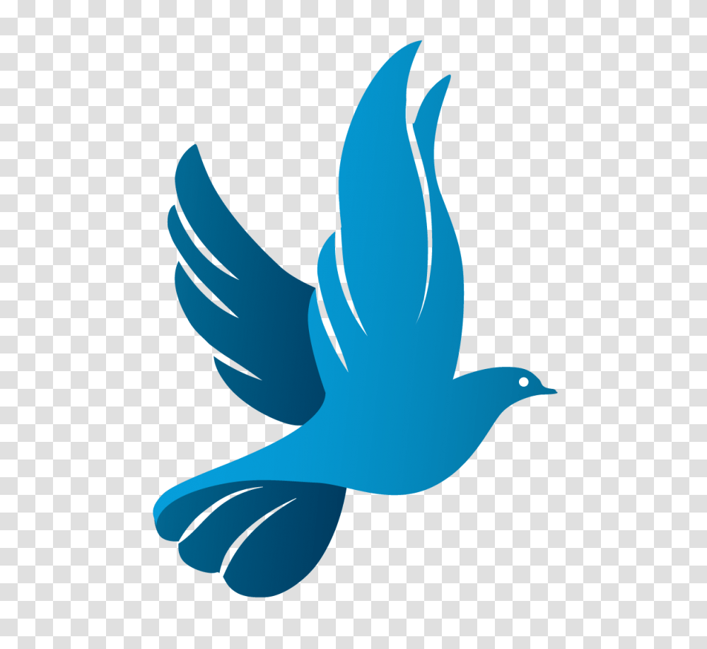 Afbeeldingsresultaat Voor Church Dove Logo Design Nkhazie, Jay, Bird, Animal, Blue Jay Transparent Png
