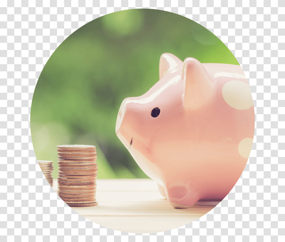 Affordable Dentistry Piggy Bank Transparent Png