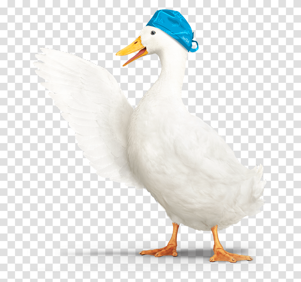 Aflac Duck Aflac Duck, Bird, Animal, Beak, Waterfowl Transparent Png