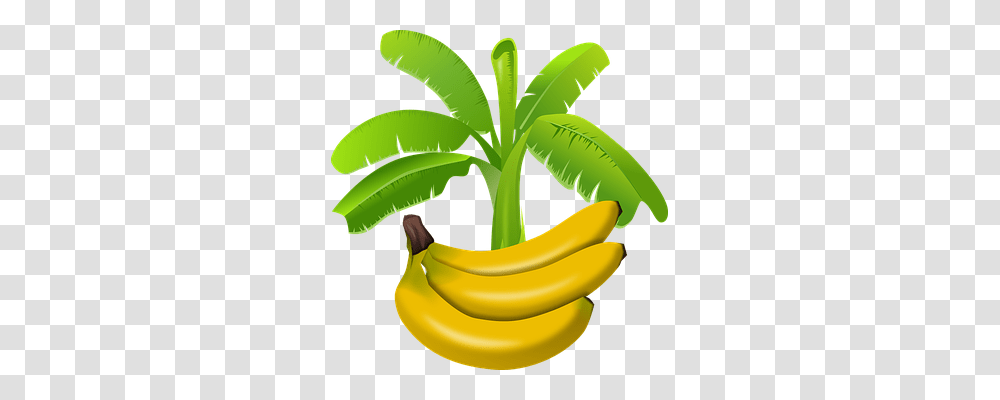 Africa Food, Plant, Banana, Fruit Transparent Png