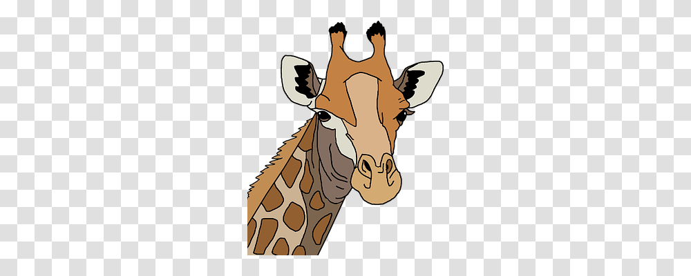 Africa Animals, Wildlife, Mammal, Giraffe Transparent Png