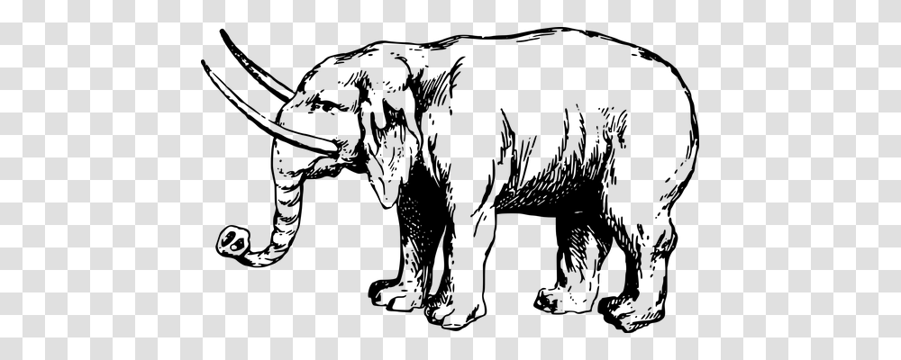 Africa Animals, Gray, World Of Warcraft Transparent Png