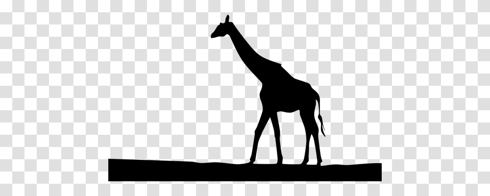 Africa Nature, Gray, World Of Warcraft Transparent Png