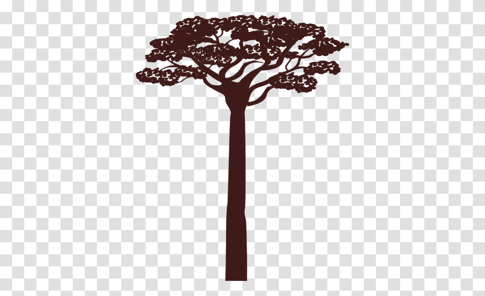Africa Acacia Tree Canva Acacia, Plant, Palm Tree, Arecaceae, Cross Transparent Png
