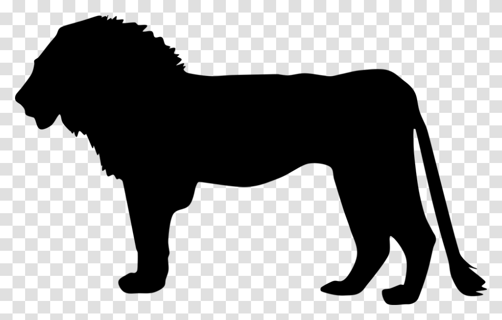 Africa Animal Big Cat Lion Silhouette Lion In Silhouette Profile, Gray, World Of Warcraft Transparent Png