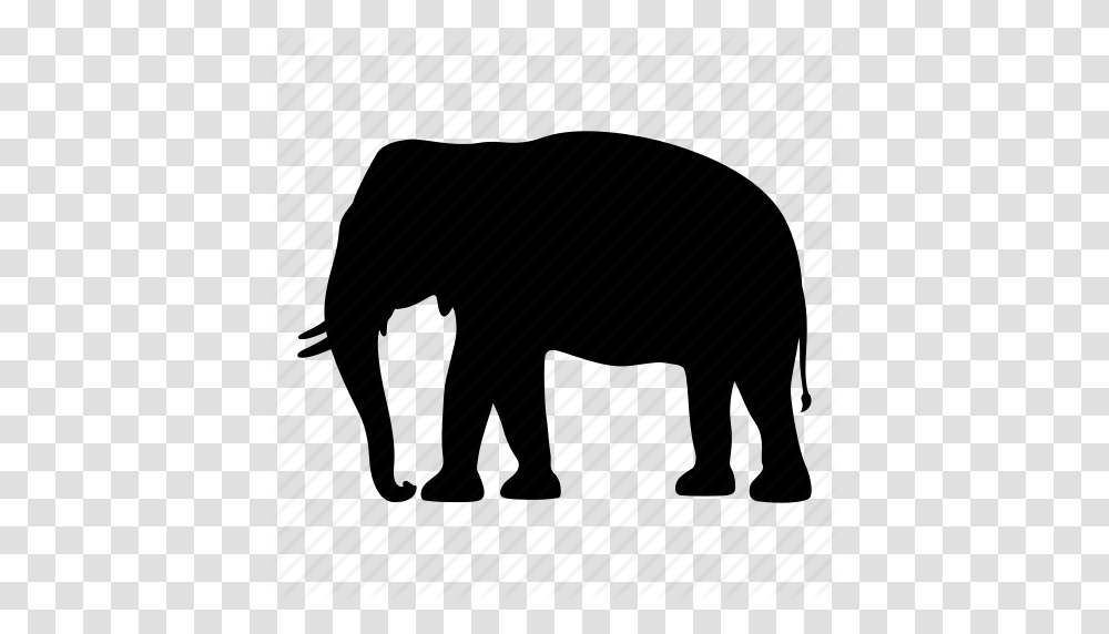 Africa Animal Elephant India Safari Silhouette Wild Icon, Piano, Leisure Activities, Musical Instrument, Mammal Transparent Png