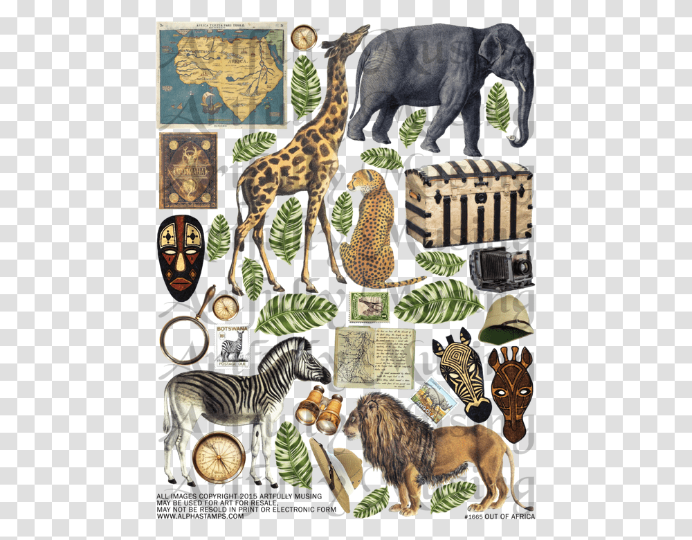 Africa, Elephant, Wildlife, Mammal, Animal Transparent Png