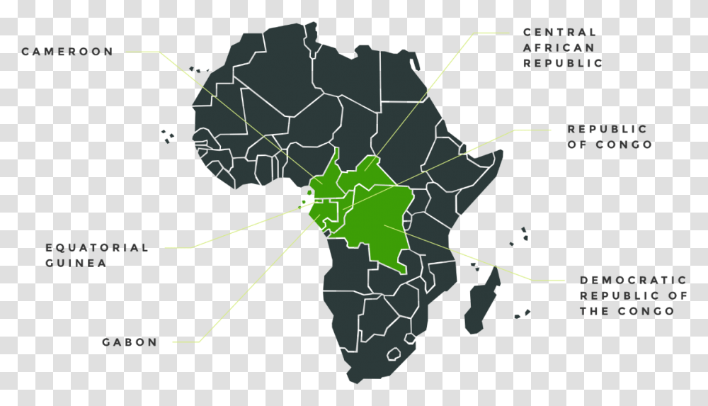 Africa Map Africa Nigeria Map Vector, Leaf, Plant, Diagram, Atlas Transparent Png