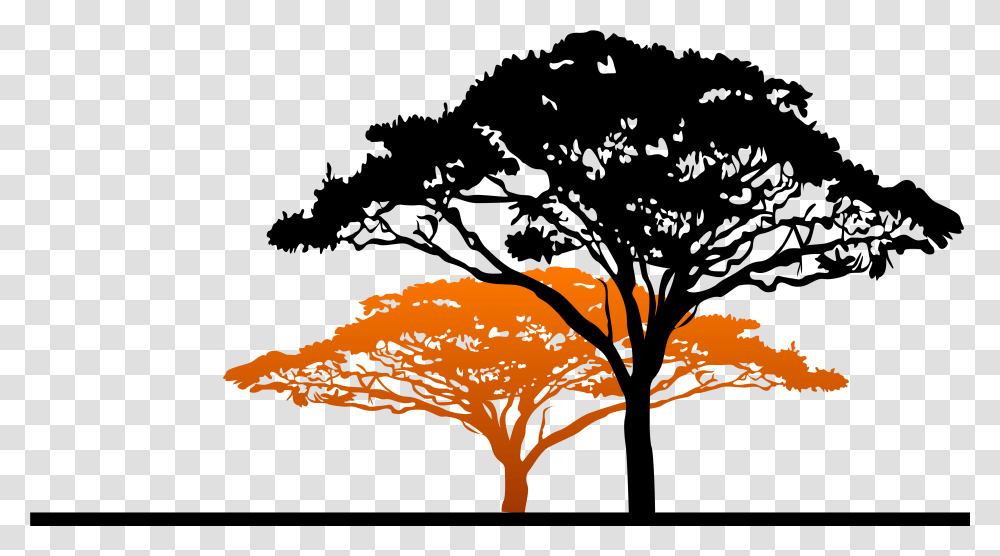 Africa Silhouette South African Trees Silhouette, Plant, Leaf, Outdoors, Nature Transparent Png