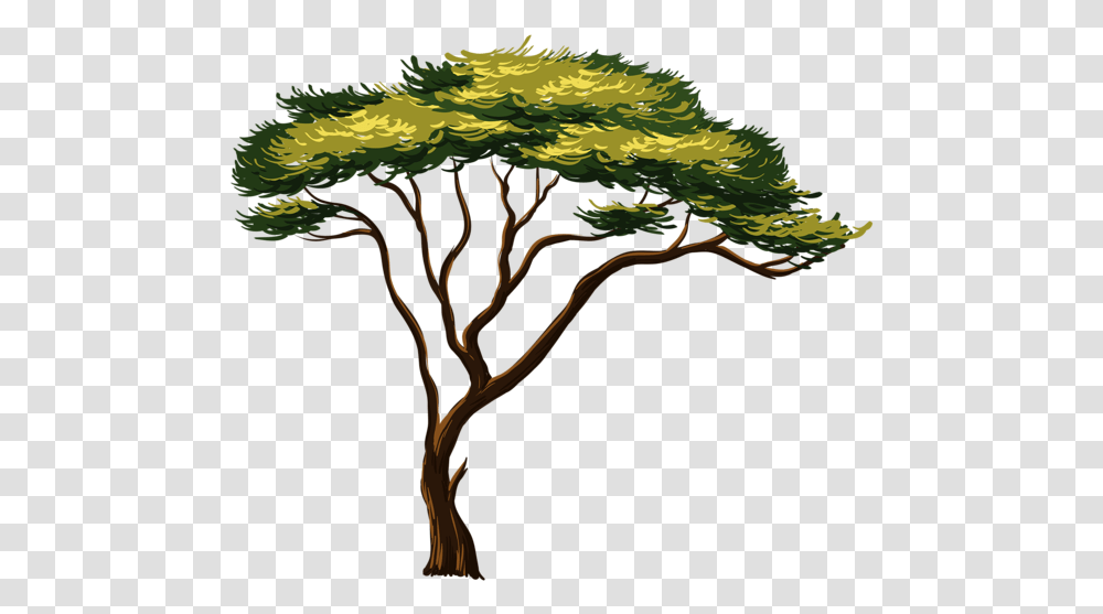 Africa Tree African Tree Clipart, Plant, Vegetation, Bush, Nature Transparent Png