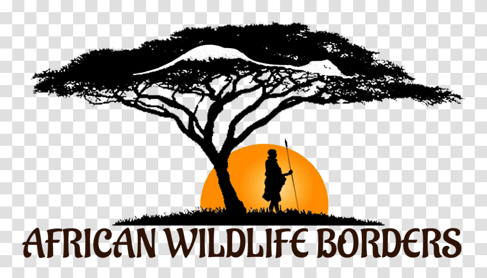 Africa Tree Collections Acacia Tree Silhouette, Person, Human, Leisure Activities Transparent Png