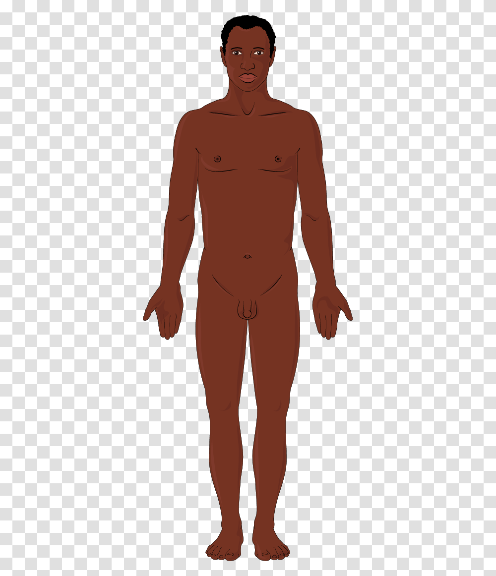 Africain, Person, Torso, Face Transparent Png