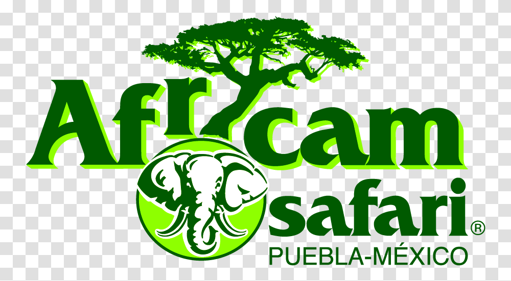 Africam Safari Logo Africam Safari Logo, Plant, Green, Vegetable, Food Transparent Png