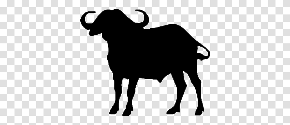 African Buffalo Clipart Clip Art, Silhouette, Bull, Mammal, Animal Transparent Png