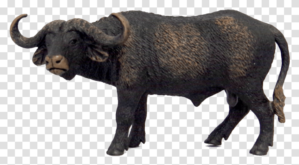 African Buffalo Free Images Schleich African Buffalo, Mammal, Animal, Wildlife, Cow Transparent Png