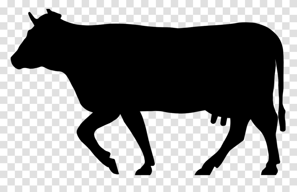 African Buffalo Silhouette Hot Trending Now, Mammal, Animal, Horse, Wildlife Transparent Png