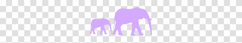 African Bush Elephant Clipart, Mammal, Animal, Wildlife, Bison Transparent Png
