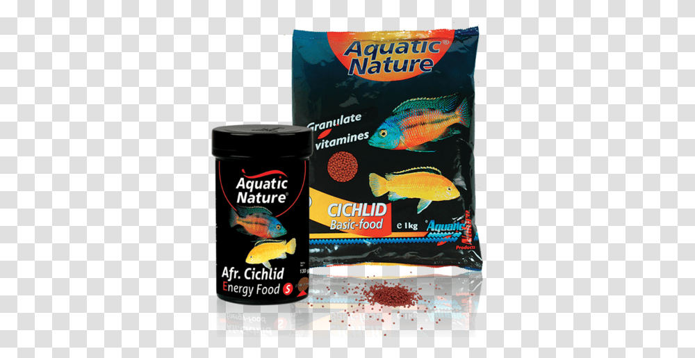 African Cichlid Food Cichlid, Fish, Animal, Outdoors, Nature Transparent Png