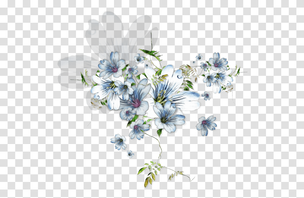 African Daisy, Floral Design, Pattern Transparent Png