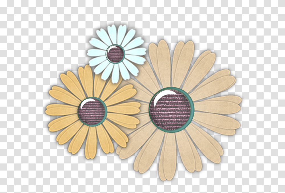 African Daisy, Flower, Plant, Daisies, Blossom Transparent Png