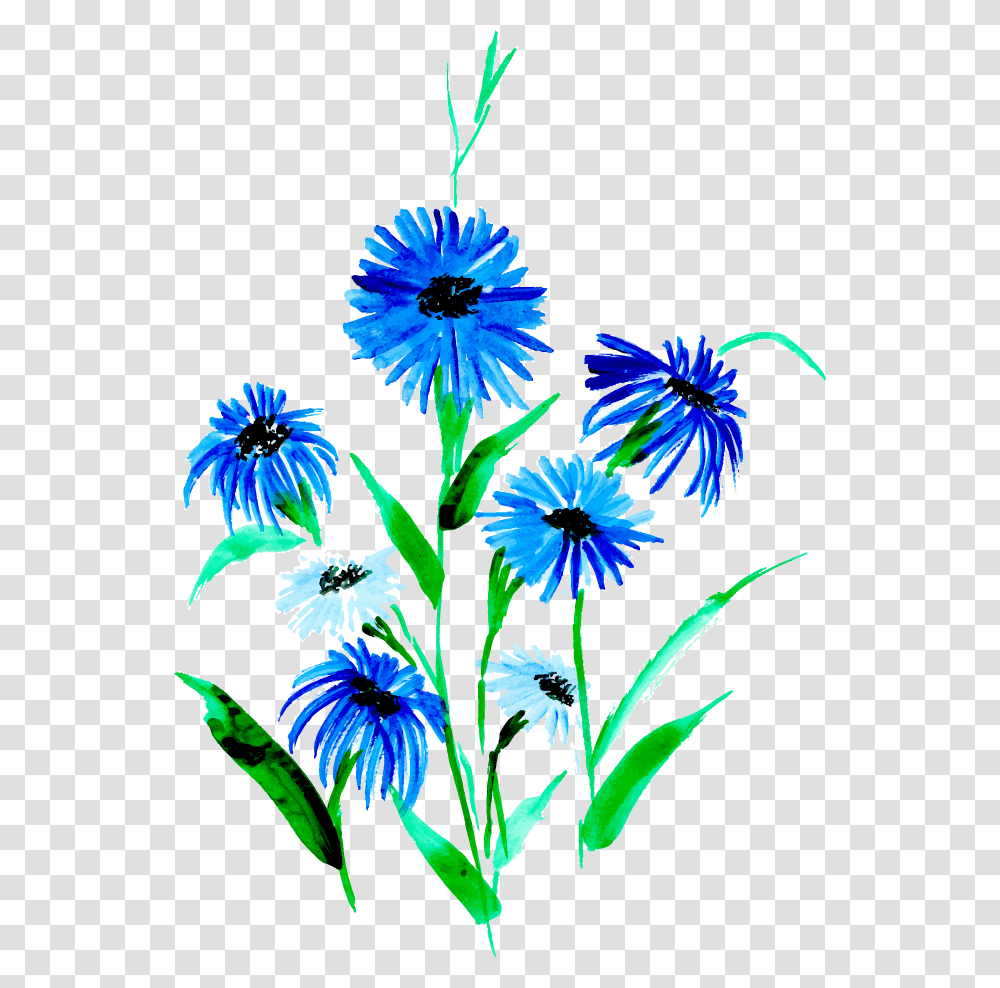 African Daisy, Plant, Aster, Flower, Blossom Transparent Png