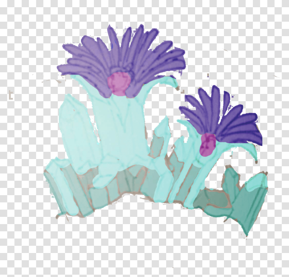 African Daisy, Plant, Flower Transparent Png
