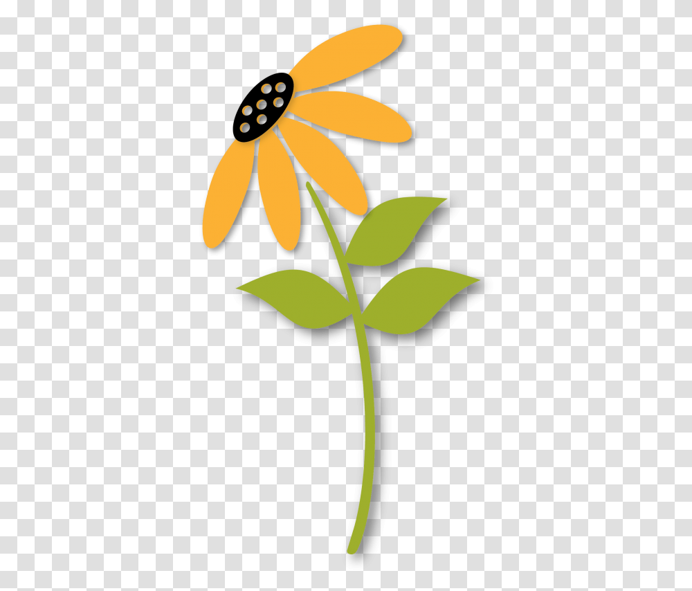African Daisy, Plant, Leaf, Flower, Green Transparent Png