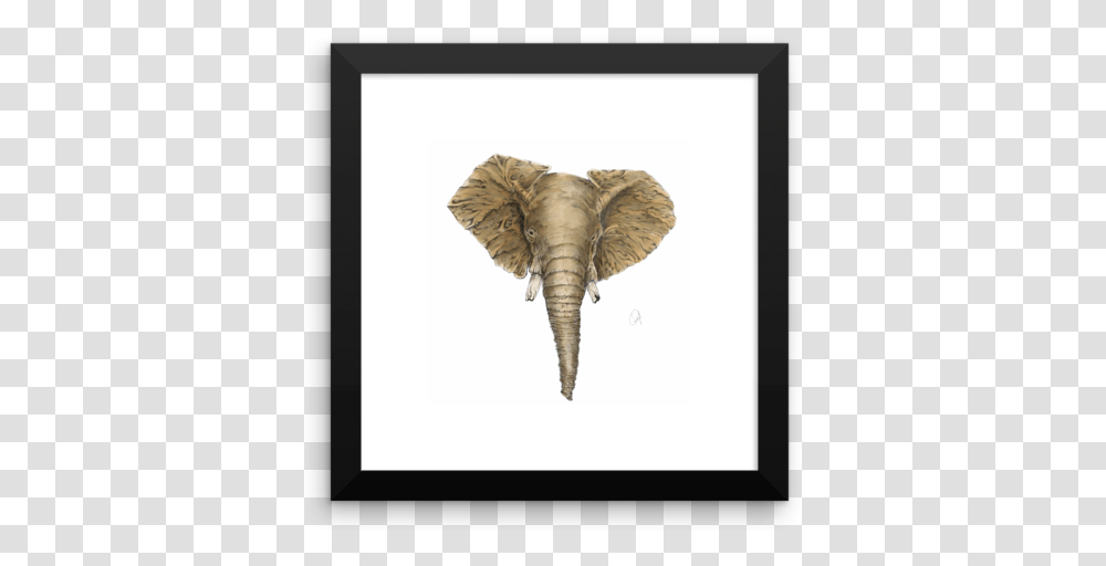 African Elephant, Plant, Produce, Food, Vegetable Transparent Png