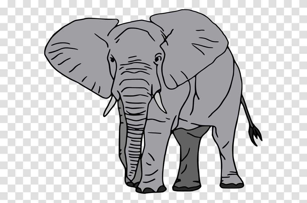 African Forest Elephant Cartoon, Wildlife, Mammal, Animal Transparent Png