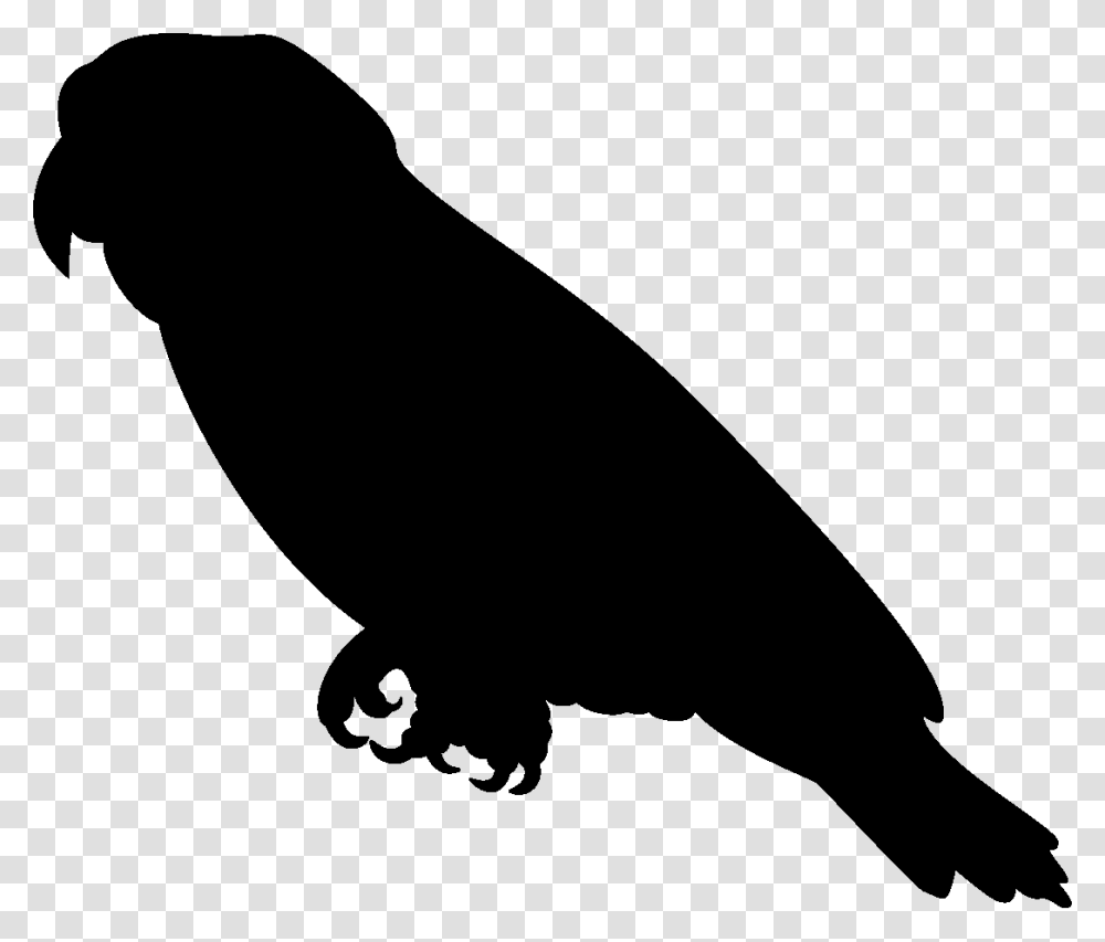 African Grey Parrot Clipart Silhouette, Animal, Bird, Stencil, Blackbird Transparent Png